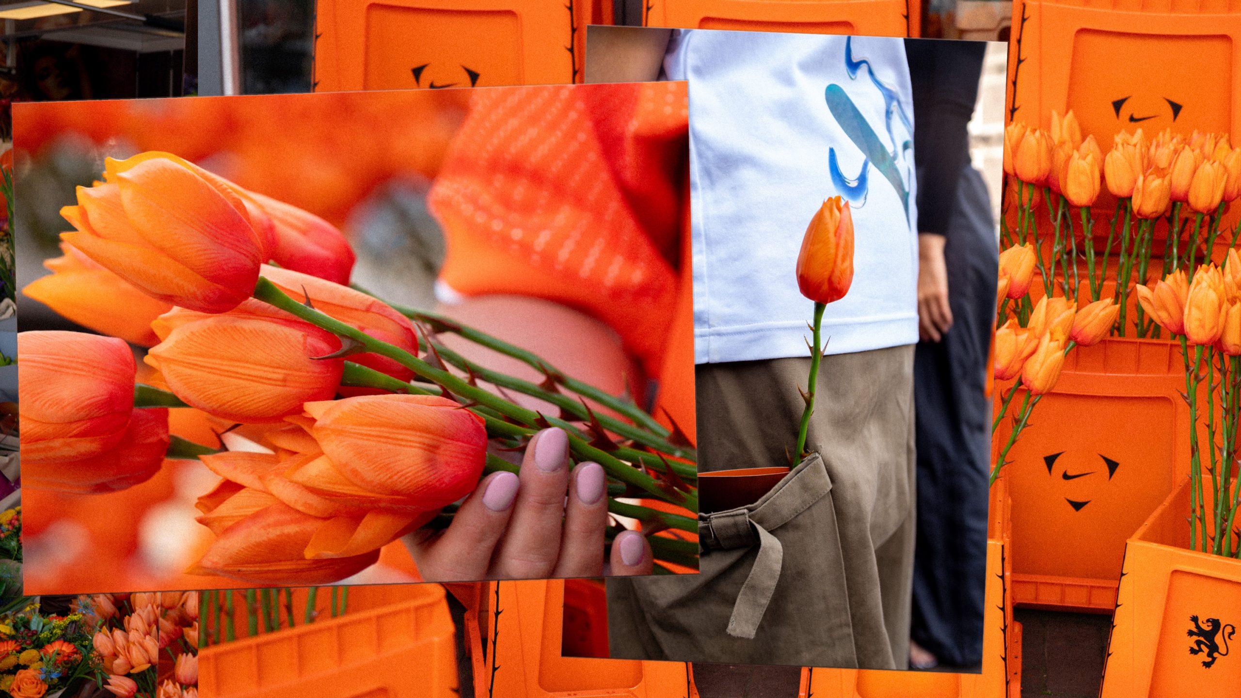 Nike_Oranje-Fatalis_21